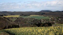 Blick auf die beiden Monreal Burgen, © Foto: Laura Rinneburger, Quelle: Touristik-Büro Vordereifel
