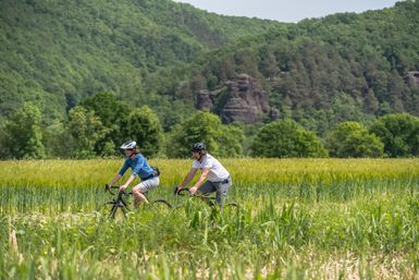 Zwei Radfahrer mit einer hohen Wiese im Vordergrund und im Hintergrund ist eine Hügellandschaft zu sehen.