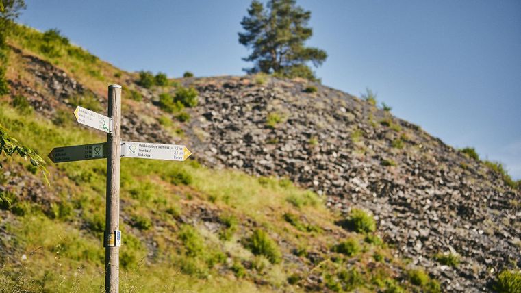 Ein Wegweiser steht auf einer Wiese vor einem Hügel. Im Hintergrund erkennt man einige Bäume und einen blauen Himmel.