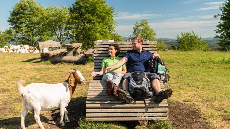 Ein Paar entspannt auf einer Holzliege im Freien. Eine neugierige Ziege steht in der Nähe und schaut sie an.