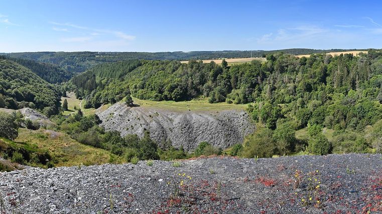 Eine beeindruckende Landschaft mit Hügeln und viel grünem Wald. Der Himmel ist klar und blau, was eine ruhige Atmosphäre schafft.