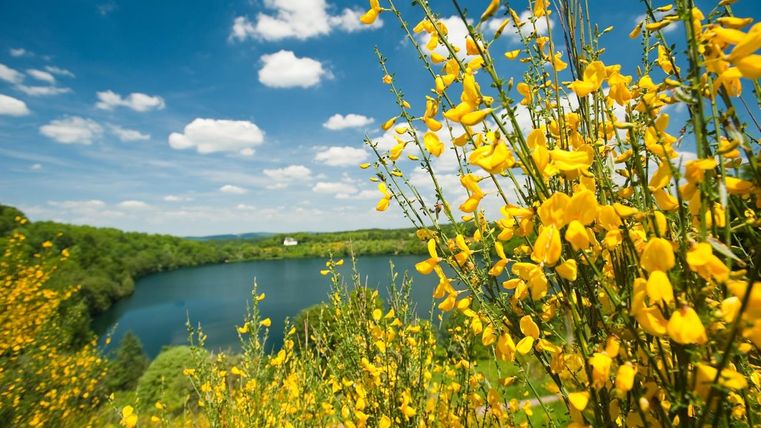 Ein schöner See umgeben von leuchtend gelben Blumen und grünen Bäumen. Der Himmel ist klar und hat einige kleine Wolken.