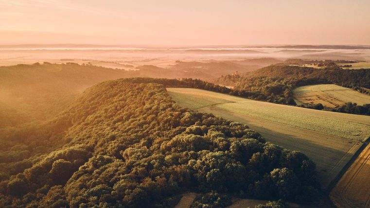 Eine malerische Landschaft mit sanften Hügeln, Wäldern und Feldern. Der Morgennebel sorgt für eine ruhige Atmosphäre.