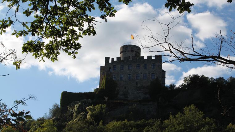 An old castle sits on a hill, surrounded by trees. The sky is partly cloudy and the German flag flies atop the tower.