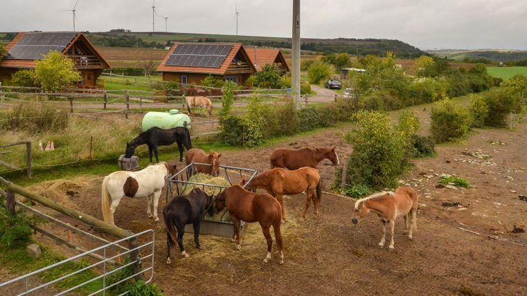 Une ferme tranquille avec plusieurs chevaux qui paissent à l'extérieur. En arrière-plan, on voit des bâtiments avec des panneaux solaires et un paysage verdoyant.