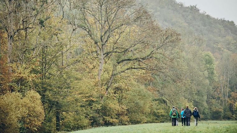 Eine Gruppe von Wanderern geht durch herbstliche Wälder. Die Bäume zeigen bunte Blätter und die Natur wirkt friedlich.