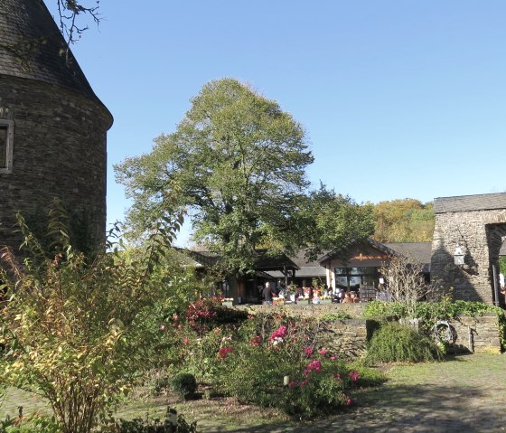 Wild auf Burg Pyrmont