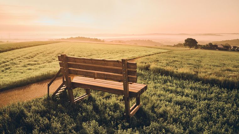 Eine Holzbank steht auf einem Feld, umgeben von grünen Pflanzen. Der Himmel ist in sanften Farben der Dämmerung getaucht.
