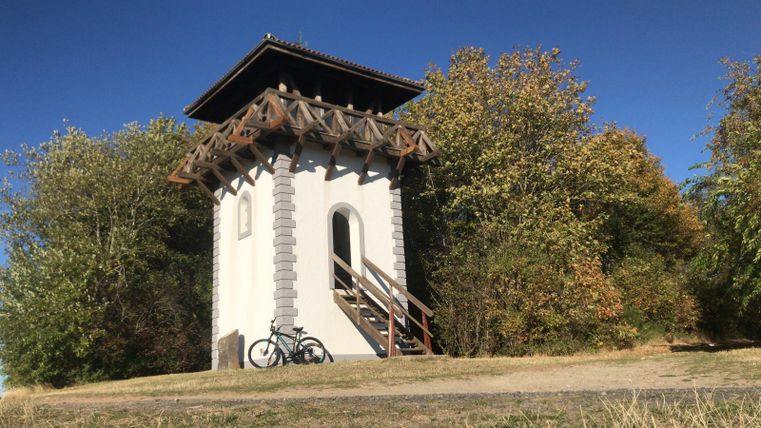 Ein Aussichtsturm umgeben von Bäumen und Gras. Ein Fahrrad steht neben dem Turm.