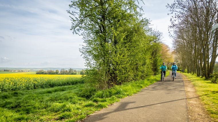 Zwei Radfahrer auf einem asphaltierten Weg neben blühenden Rapsfeldern und Bäumen.
