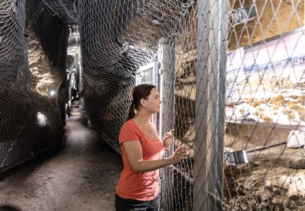 Im Ulmener Maar-Stollen, &copy; Eifel Tourismus GmbH, AR-shapefruit AG