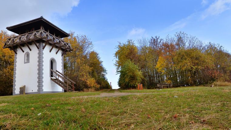Een historische uitkijktoren staat in een groene landschap. Op de achtergrond zijn bomen met herfstkleuren te zien.