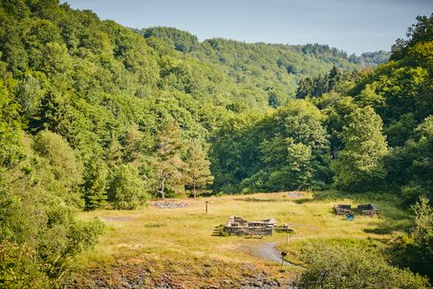 Blick auf die Mauerreste der Ruinen im Kaulenbachtal. Grüne Wiese und grüne Bäume sind ringsherum zu sehen.