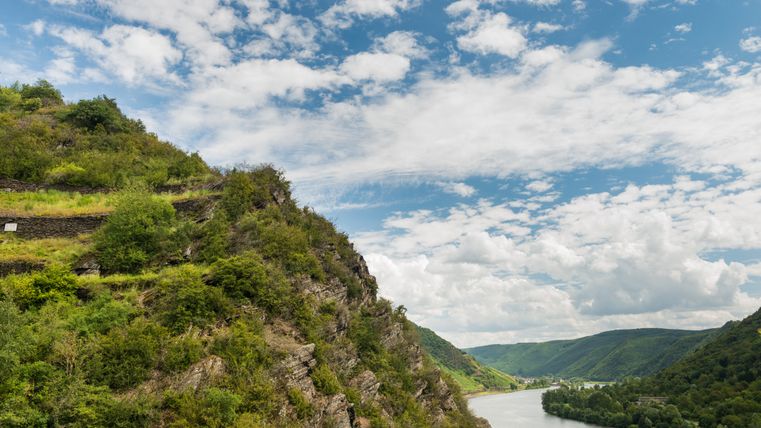 Blick auf einen steilen, begrünten Weinberg mit Trockenmauern oberhalb einer kurvenden Flussschleife, eingebettet in eine bewaldete Hügellandschaft unter einem teils bewölkten Himmel