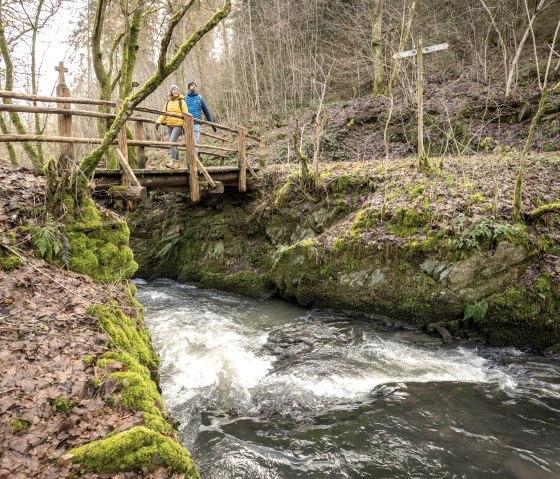 Der Weg &bdquo;Im Tal der wilden Endert&ldquo; f&uuml;hrt durch eine moosbewachsene, bewaldete Schlucht mit naturnahen Uferbereichen., &copy; Eifel Tourismus GmbH, Dominik Ketz