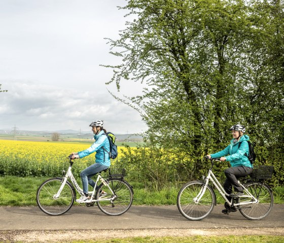Le colza en fleurs accompagne les cyclistes sur la piste cyclable du Maifeld, © Eifel Tourismus GmbH, Dominik Ketz