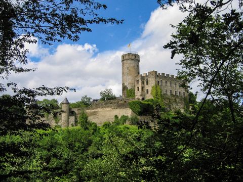 Die Burg Pyrmont auf einem bewaldeten Hügel mit rundem Bergfried und Steinmauern vor klarem Himmel.