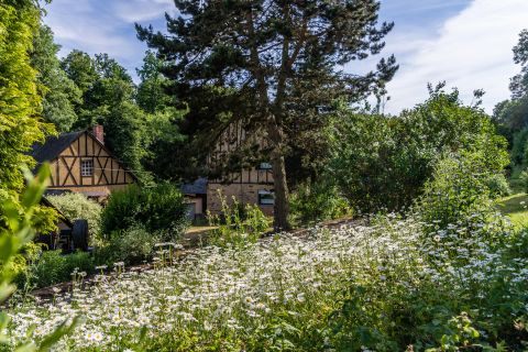 Un terrain pittoresque avec une maison construite traditionnellement et une végétation luxuriante. Au premier plan, de nombreuses fleurs blanches éclosent.