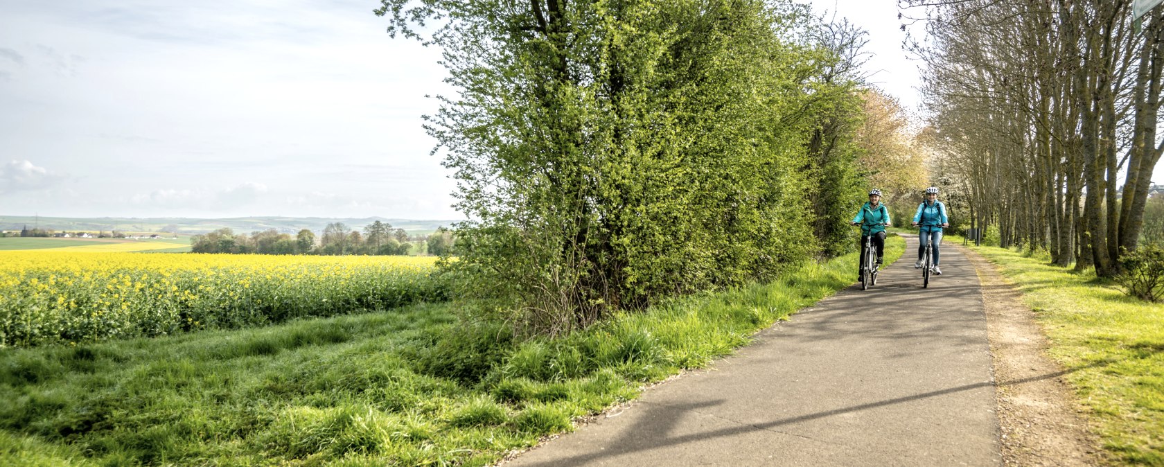 Sur la piste cyclable du Maifeld, le long des champs de colza en fleurs, © Eifel Tourismus GmbH, Dominik Ketz