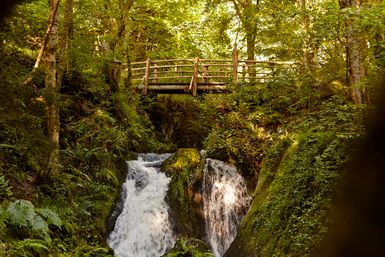 A picturesque waterfall flows through a dense forest. A wooden bridge spans the waterfall, harmoniously blending into the natural surroundings.