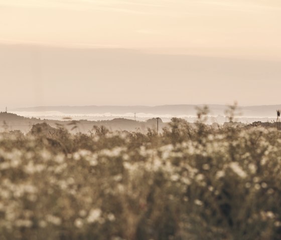 Blick ins Maifeld, &copy; Schieferland Kaisersesch, Marco Rothbrust