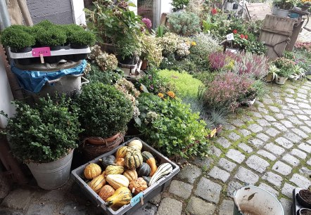 Au&szlig;enansicht im Herbst, &copy; Caf&eacute; Zeit