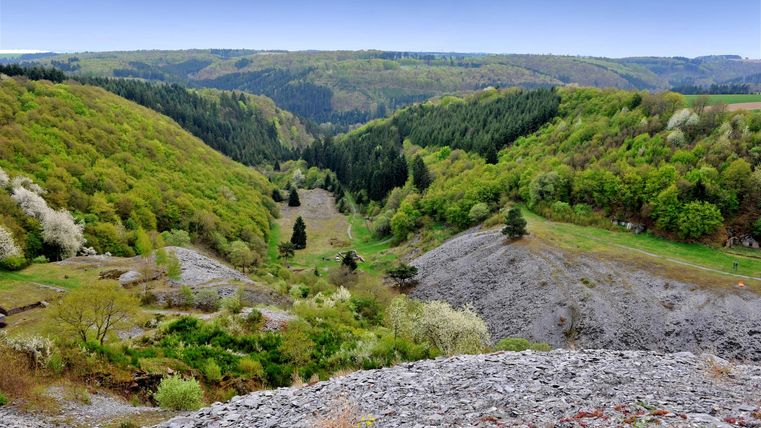 Eine malerische Landschaft mit sanften Hügeln und grünen Wäldern. Im Tal sind Bäume und Wiesen zu sehen.