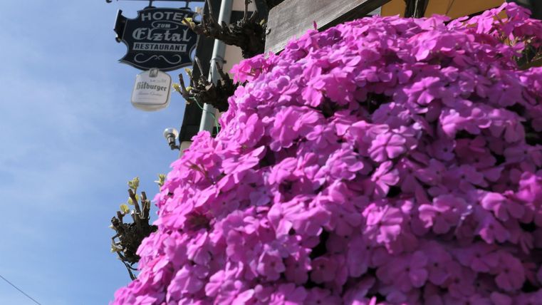 Ein Hotel mit einem Schild und blühenden, lila Blumen im Vordergrund. Der Himmel ist blau und klar.