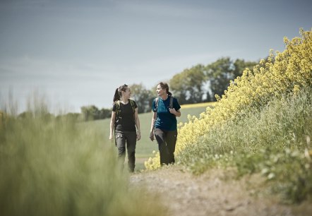 Steinbach Rundweg Masburg, © Schieferland Kaisersesch, Marco Rothbrust