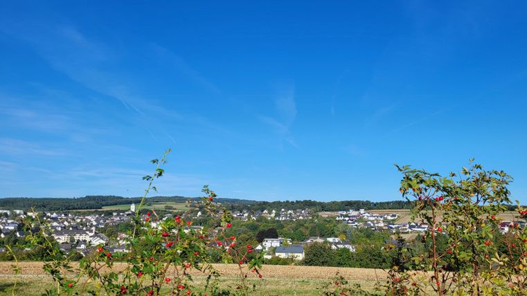 Eine ländliche Landschaft mit einem klaren blauen Himmel und einem Blick auf ein kleines Dorf. Im Vordergrund sind strauchige Pflanzen zu sehen.