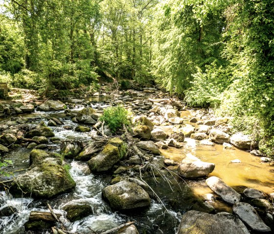 Vulkanpark cycle path, Rauscherpark, © Eifel Tourismus GmbH, Dominik Ketz