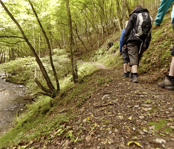 Wandern im Tal der wilden Endert, © Marco Rothbrust