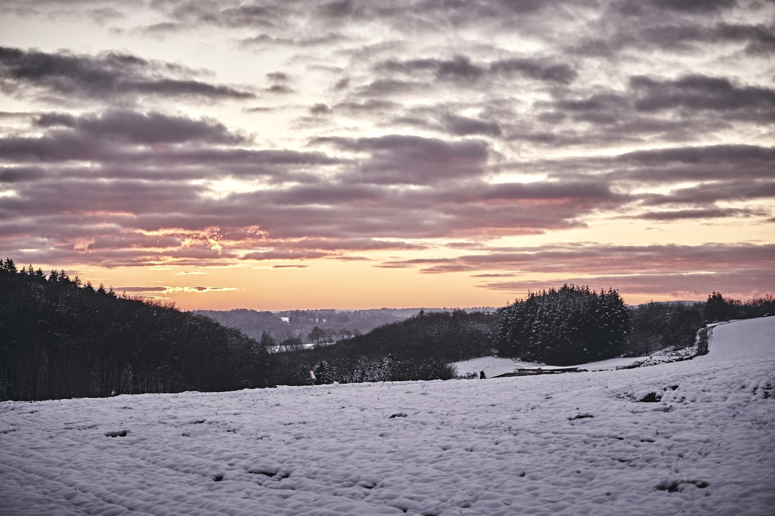 Winterbild, &copy; Marco Rothbrust