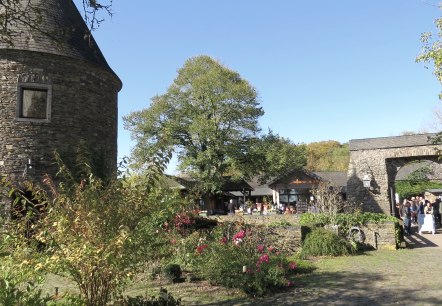 Wild auf Burg Pyrmont