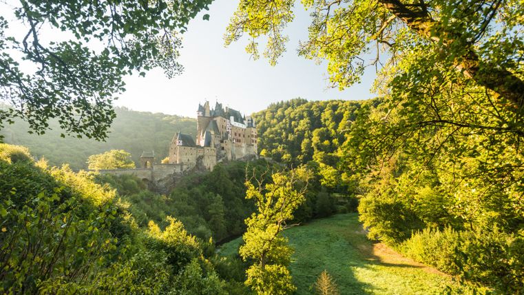 Burg Eltz umgeben von grünen Bäumen und Wiesen im Sonnenlicht.