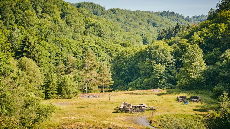 Blick auf die Mauerreste der Ruinen im Kaulenbachtal. Grüne Wiese und grüne Bäume sind ringsherum zu sehen.